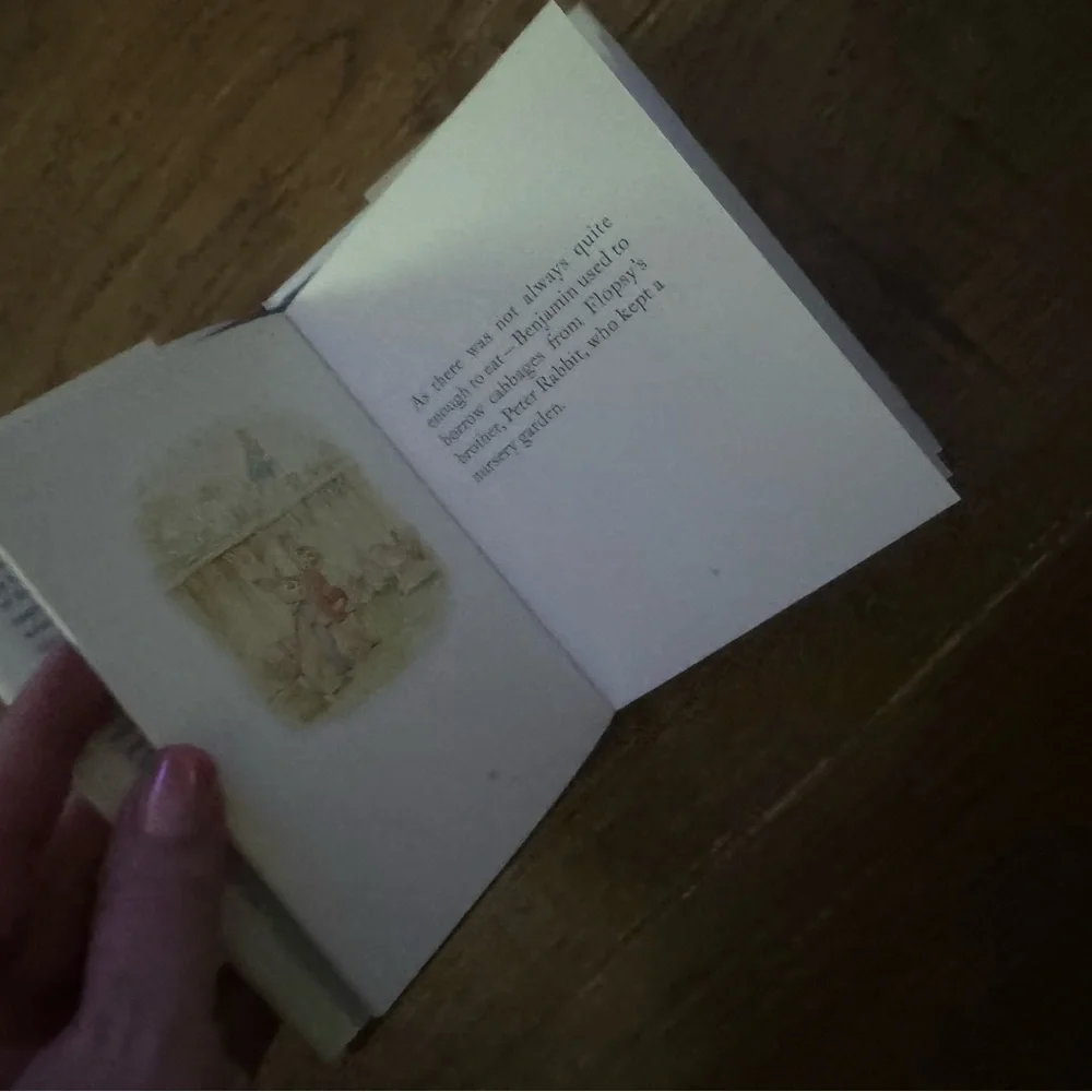 The tale of the floppy bunnies Beatrix potter